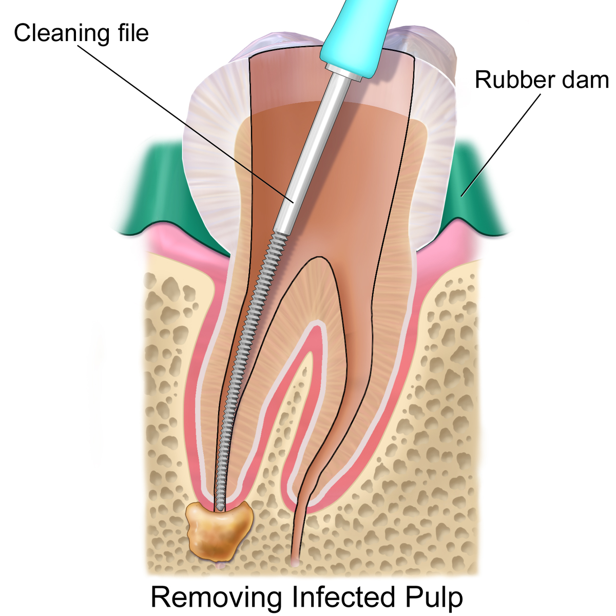 AL FAJAR DENTAL CARE TIRUR